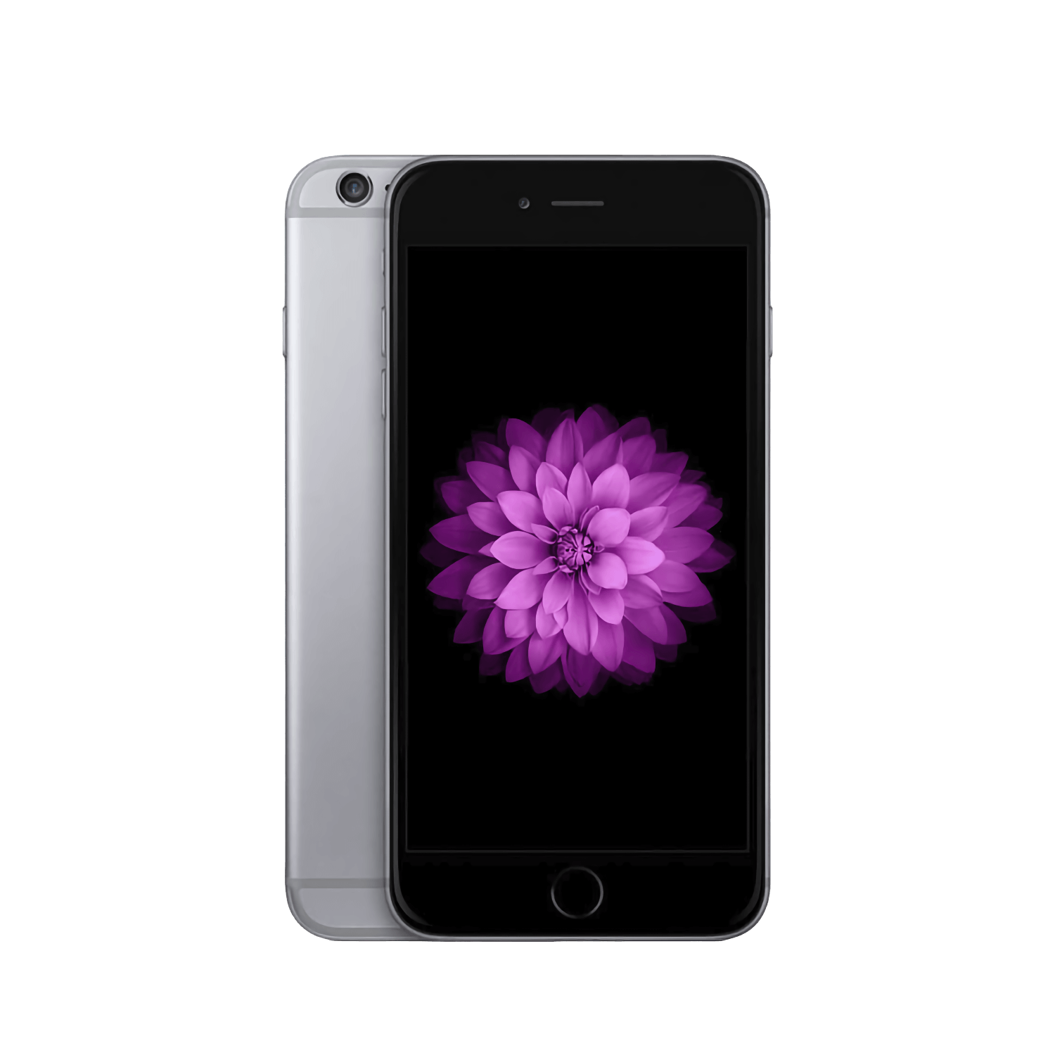 iPhone 6 Plus